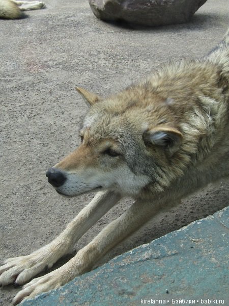 потягушеньки