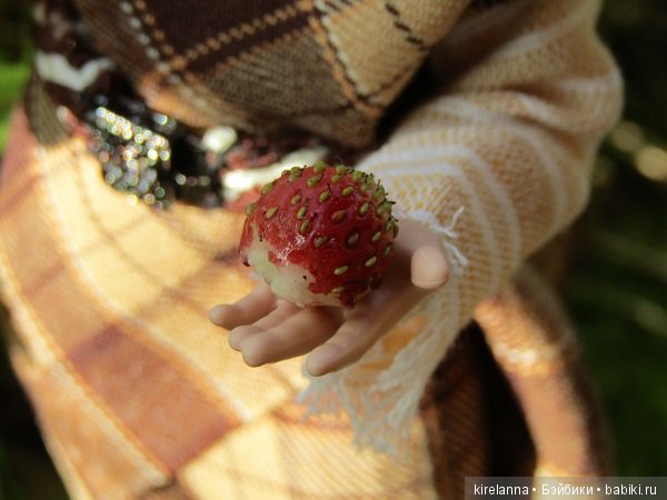 Ботаническая экспедиция. Август на домашнем лугу