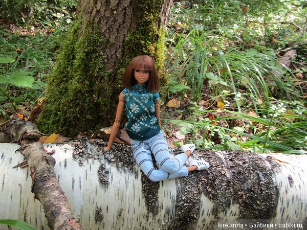 Ботаническая экспедиция. Август в лесу