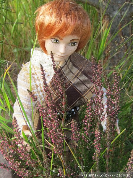 Ботаническая экспедиция. Август на домашнем лугу