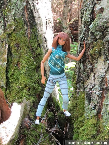 Ботаническая экспедиция. Август в лесу