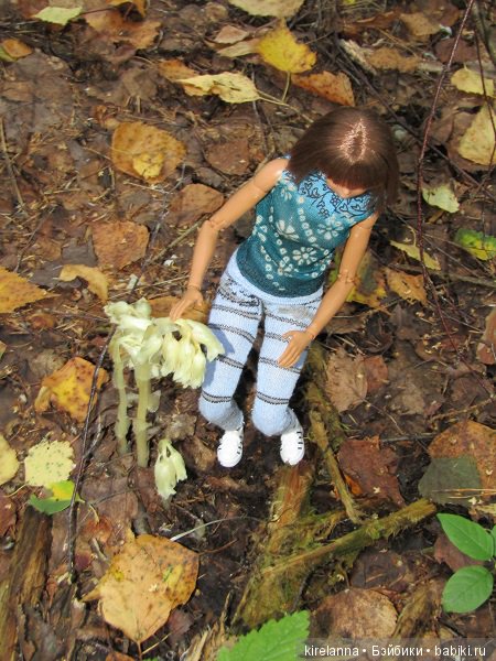 Ботаническая экспедиция. Август в лесу