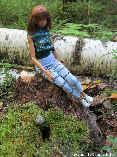 Ботаническая экспедиция. Август в лесу