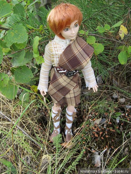 Ботаническая экспедиция. Август на домашнем лугу