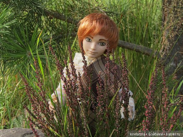 Ботаническая экспедиция. Август на домашнем лугу