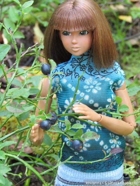 Ботаническая экспедиция. Август в лесу (фото 8)