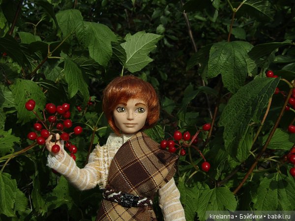 Ботаническая экспедиция. Август на домашнем лугу