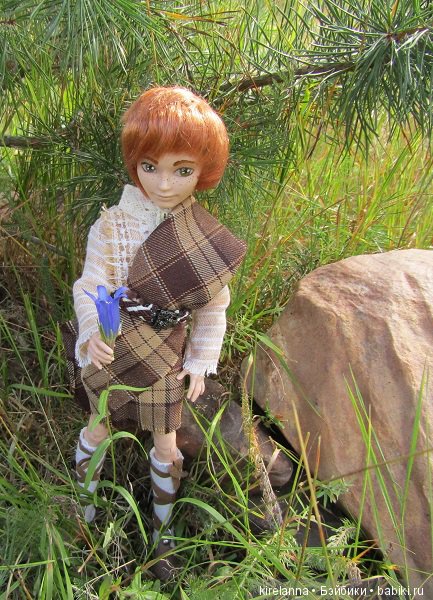 Ботаническая экспедиция. Август на домашнем лугу (фото 4)