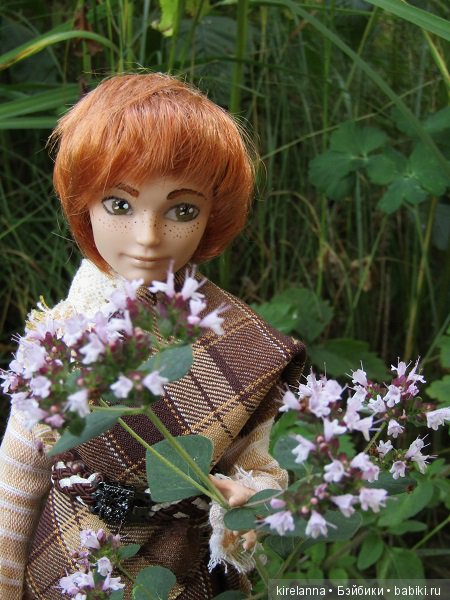 Ботаническая экспедиция. Август на домашнем лугу