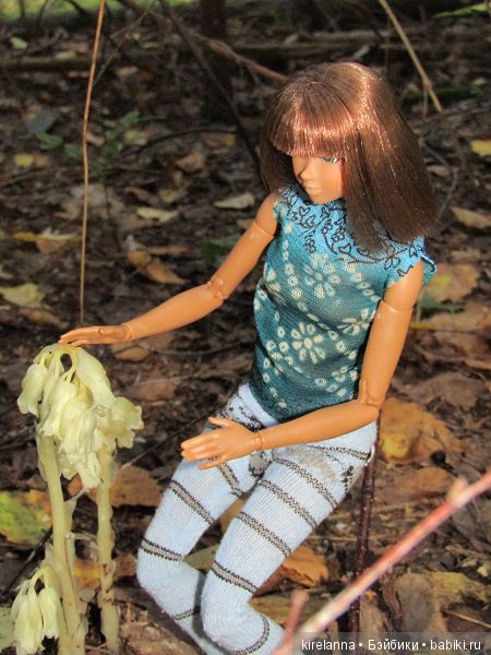 Ботаническая экспедиция. Август в лесу