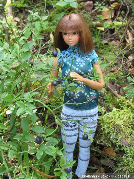 Ботаническая экспедиция. Август в лесу (фото 7)