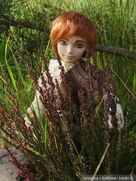 Ботаническая экспедиция. Август на домашнем лугу