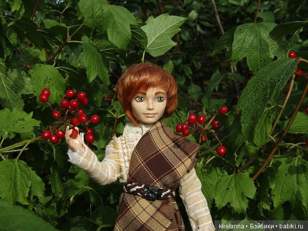 Ботаническая экспедиция. Август на домашнем лугу