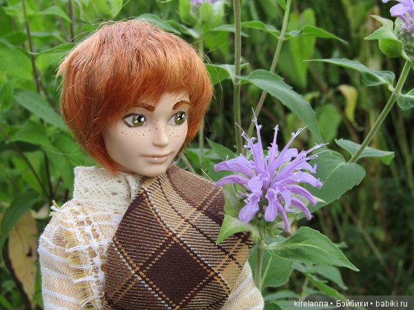 Ботаническая экспедиция. Август на домашнем лугу