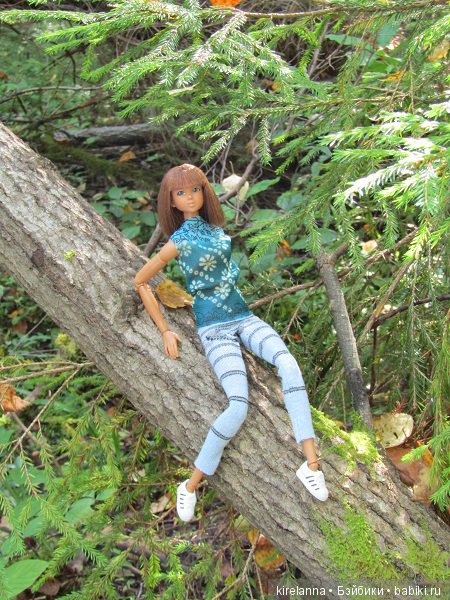 Ботаническая экспедиция. Август в лесу