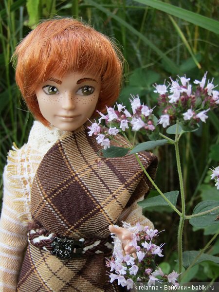 Ботаническая экспедиция. Август на домашнем лугу