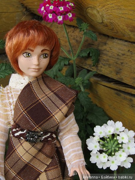 Ботаническая экспедиция. Август на домашнем лугу