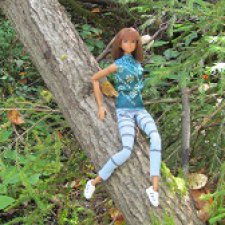 Ботаническая экспедиция. Август в лесу