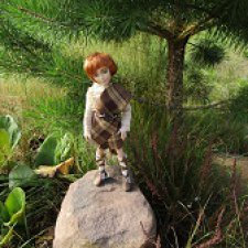 Ботаническая экспедиция. Август на домашнем лугу