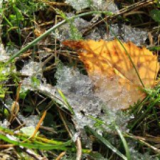 Городская осень, Машка, утки, "коровка" и "Свирепый Бамбр"