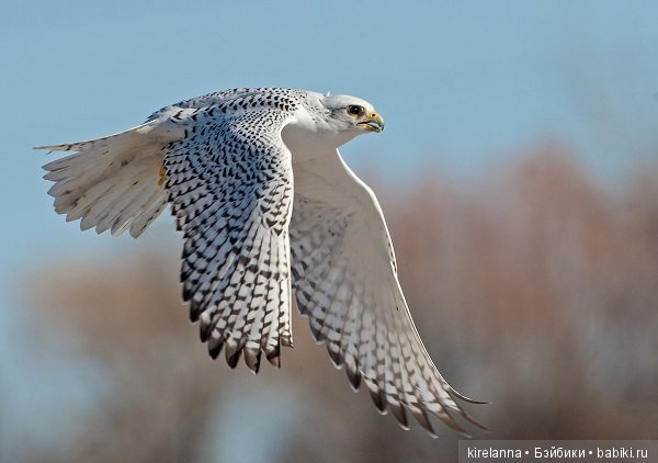 Город, которого нет на карте. Заповедник