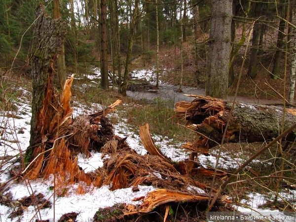 Город, которого нет на карте. Заповедник