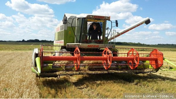 Город, которого нет на карте. Нехорошая квартира | Бэйбики Город, которого нет на карте. Нехорошая квартира (фото 5)