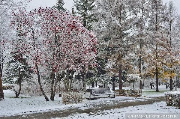 Город, которого нет на карте. Неприятности | Бэйбики Город, которого нет на карте. Неприятности