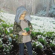 Первый подснежник