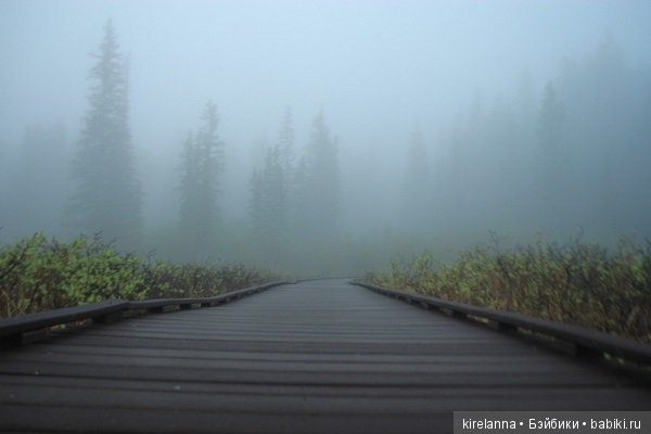 Малина не поможет — Фотоистории с куклами BJD (БЖД): сериалы