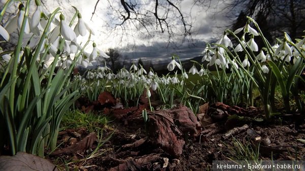 Малина не поможет — Фотоистории с куклами BJD (БЖД): сериалы