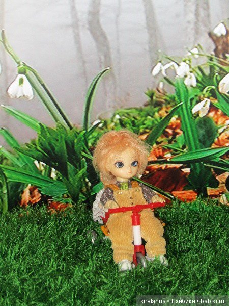 Малина не поможет — Фотоистории с куклами BJD (БЖД): сериалы