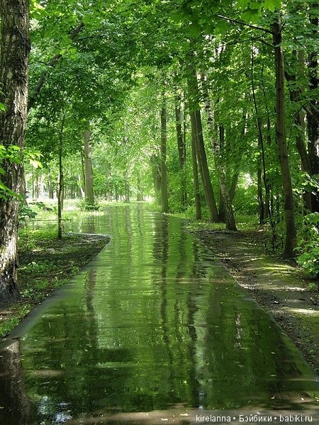 Город, которого нет на карте. Подкидыш