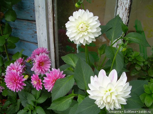 Город, которого нет на карте. Подкидыш