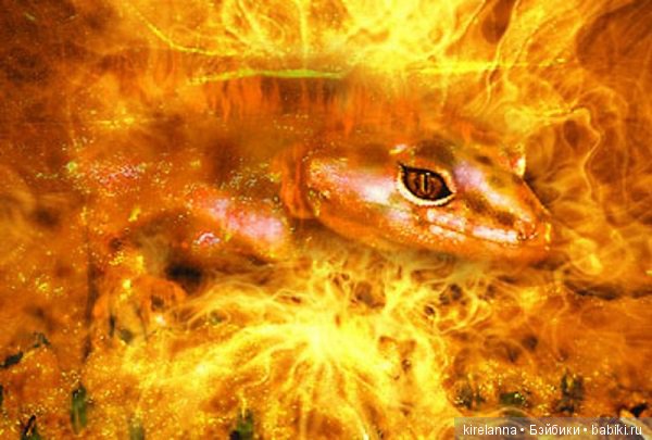 Город, которого нет на карте. Подкидыш