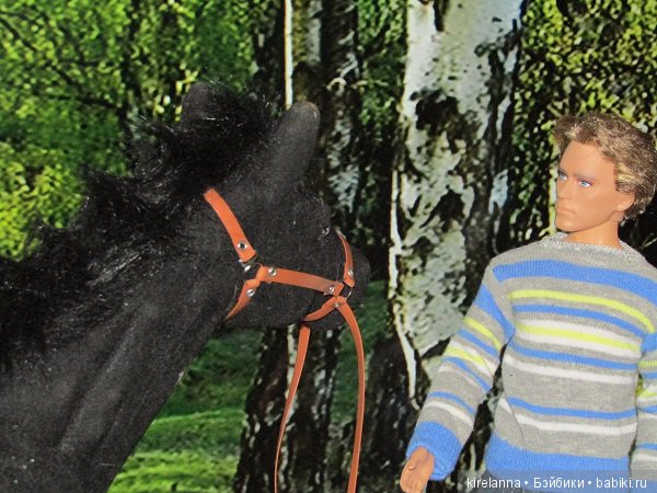 Город, которого нет на карте. Распределение (фото 4)