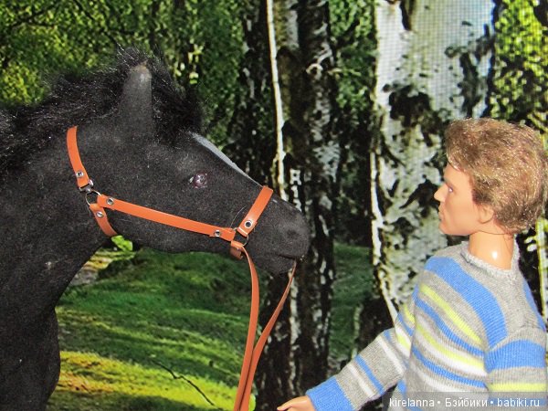 Город, которого нет на карте. Распределение