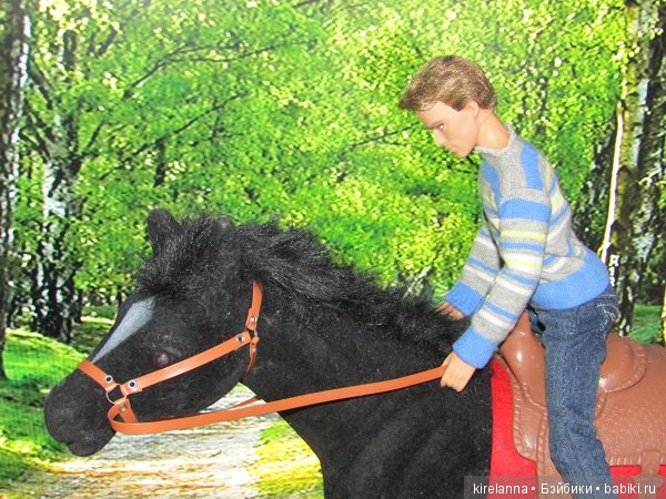 Город, которого нет на карте. Распределение (фото 6)