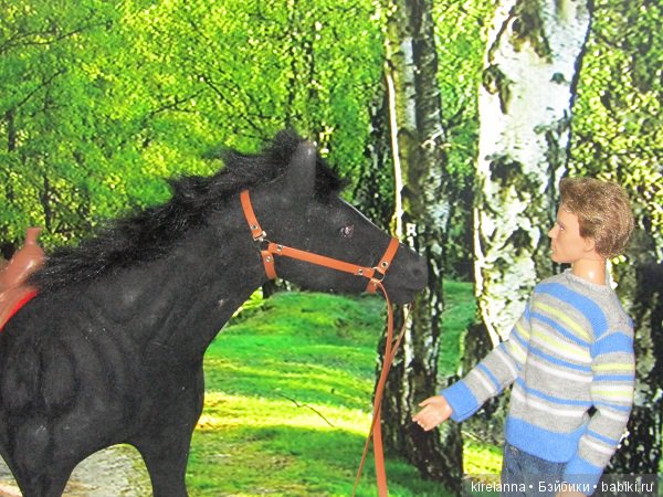 Город, которого нет на карте. Распределение (фото 2)