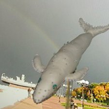 Ты больше не один