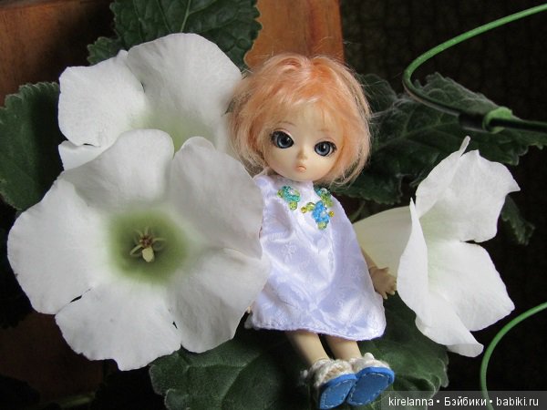 Плюс два - полёт нормальный