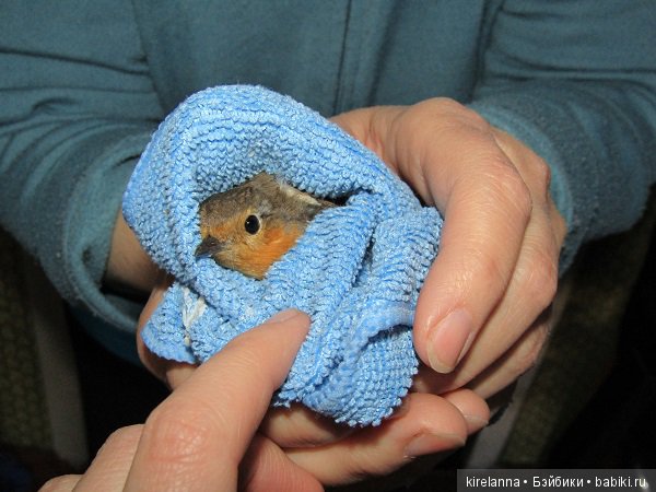 Плюс два - полёт нормальный