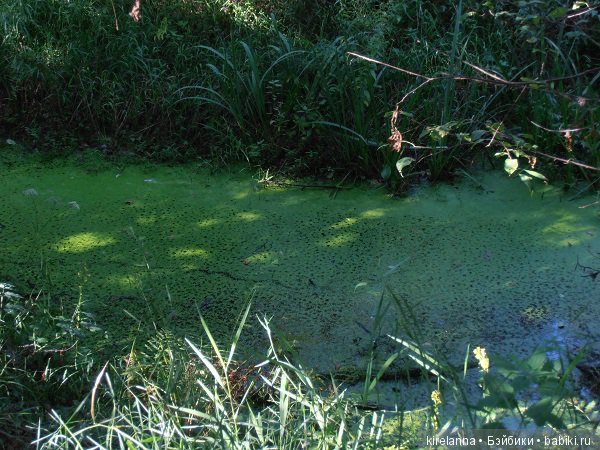 Город, которого нет на карте. Ожерелье русалки - часть 1 (фото 4)