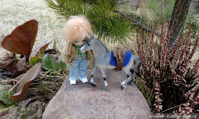 Виля в поисках весны - часть 1, пасмурно-туманная