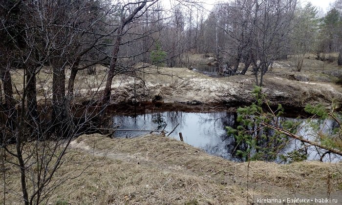Виля в поисках весны - часть 1, пасмурно-туманная (фото 7)