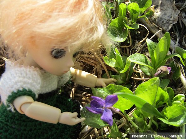 Вилька в поисках весны - часть 2, солнечно-цветочная (фото 8)