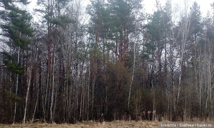 Виля в поисках весны - часть 1, пасмурно-туманная