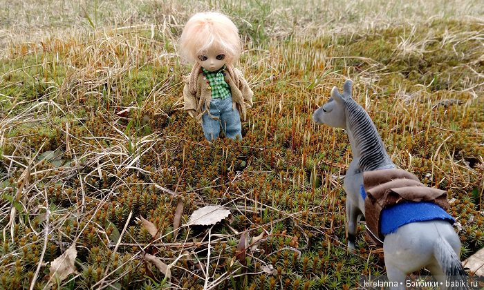 Виля в поисках весны - часть 1, пасмурно-туманная