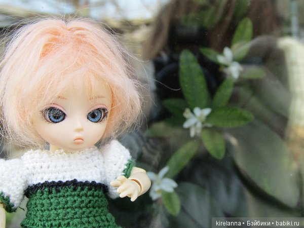 Вилька в поисках весны - часть 2, солнечно-цветочная