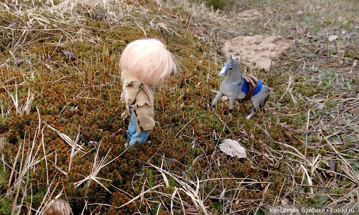 Виля в поисках весны - часть 1, пасмурно-туманная